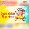 About Digambara Digambara Shripad Vallabh Song